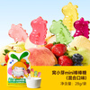 Wo Xiaoya sugar-free mini lollipop cartoon shape fruit sugar 0 sucrose children's snacks for infants and young children baby supplement recipe mini lollipop (mixed) 28g
