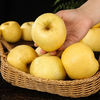 Beijing Fresh Shandong Cream Fuji Apple, net weight 8 pounds, single fruit 80-85mm, fresh fruit, direct shipping from the source, free shipping