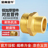 Golden Horn Taurus 6-point to 4-point reducing wire connector water pipe adapter direct double external wire connector brass water inlet hose accessories