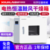 Xiniu Technology Electric Heating Constant Temperature Blast Drying Oven Drying Oven High Temperature Test Chamber Small Oven Laboratory Industrial Vacuum Oven DHG-9140B 136L/Precision 0.5/Stainless Steel/5 Wind Levels