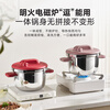 Lingfeng (LINKFAIR) pressure cooker household explosion-proof one-hand one-button opening and closing for 3-4 people stainless steel pressure cooker gas induction cooker universal
