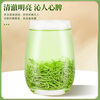Zhiding Green Tea Special Grade Maojian Tea 2025 New Tea Xinyang Origin Mingqian Young Bud Ration Tea Self-Drink 500g