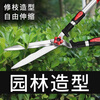 Jingyouyu German Seiko Gardening Scissors Fruit Branch Garden Lawn Pruning Shears Landscaping Tools Hedge Shears Upgraded Series - Standard Straight Blade Telescopic Style