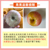Sweet and drunk Yantai Apple Qixia Red Fuji fresh fruit fresh Shandong specialty crispy sweet whole box flat fruit gift box gift Red Fuji net weight 4.5 catties 75-80mm