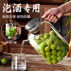 Home story Japanese soaked wine glass bottle household wine jar wine tank soaked wine special high-end sealed bayberry fruit wine brewing container