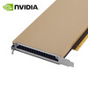 NVIDIA TESLA A10 24GB GDDR6 data center GPU Ampere architecture/9216 CUDA core/31.2 TFLOPS FP32/600GB/s bandwidth industrial packaging