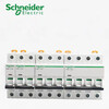 Schneider small circuit breaker/C/D type 6A10A16A25A32A40A/63A/1P/2P/3P/4P white 1A 1P x C type
