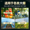 Anti-aging plastic sheet greenhouse plastic film anti-aging drip-free film vegetable greenhouse insulation film transparent greenhouse film 10S thick imported anti-aging high insulation greenhouse film 11 meters wide and 35 meters long