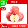Jingxiansheng Shandong Yantai Red Fuji Apple, net weight 9 pounds, fruit diameter 75mm+, fresh fruit, straight from the source