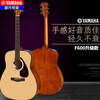 Yamaha (YAMAHA) folk guitar f600 beginners entry 41 inch f310 electric box guitar student f370 F600/41 inch/