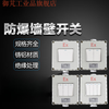 Explosion-proof wall switch 220V10A exposed and concealed 86 type single double triple triple double control rocker lighting switch IIC switch (two switches)