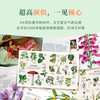 DK Herbal Encyclopedia