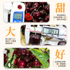 Mengwanyi cherries, Chilean cherries, imported fruits, next-day delivery to multiple places, 5kg New Year's Day gift box, 4kg (net weight), selected package, exquisite gift box - insulated box + ice pack, Big Mac 3JJJ grade cherries丨30-32mm