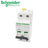 Schneider small circuit breaker/C/D type 6A10A16A25A32A40A/63A/1P/2P/3P/4P white 1A 1P x C type