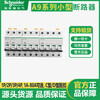 Schneider small circuit breaker/C/D type 6A10A16A25A32A40A/63A/1P/2P/3P/4P white 1A 1P x C type