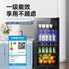 CHIGO Ice Bar Small Household Large Capacity Refrigerator Fresh Cabinet Transparent Beverage Refrigerator Office Red Wine Tea 165L Full Refrigeration + Blue Light + Metal Wine Rack