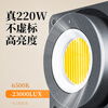 Photography strange weapon (hakutatz) LG-200PRO live fill light photography light 220W spherical soft box soft ball lighting COB soft light anchor live broadcast special studio video live light