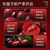 Songxiao Chilean cherries JD SF - next-day delivery to many places 5kg 4J grade imported cherry fruit gift box for gift giving 5kg (net weight) Big Mac 4J grade 32-34mm