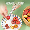 Jujube core removal tool, red date core removal tool, multi-functional stainless steel, hawthorn seed digging, household jujube milk jujube corer, fruit corer - corer 1.0cm, no specifications
