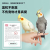 Spene Parrot Disinfectant Deodorizing Tiger Skin Pet Environment Special F10 Non-repellent Bird Cage Deodorizing and Sterilizing Spray