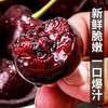 Fenlan Chilean cherries JD SF Express - next-day delivery to many places Imported large cherry gift box New Year's Day gift fruit 3 pounds (net weight) Extra large fruit 3J grade 30mm+
