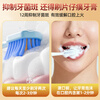 Pien Tze Huang Toothpaste Cleans Gums and Maintains Oral Fluoride-Free Toothpaste Premium Spearmint 155g