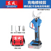 Dongcheng DCYD35 wireless lithium electric scissors multi-functional rechargeable fruit tree gardening Dongcheng pruning thick and thin branches DCYD35 brushless pruning shears bare metal (no electricity and no charge)