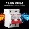 Delixi Electric Air Switch High Power Current Household Circuit Breaker Short Circuit Protector DZ47-125 4P li(C) 125A