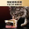Guanneng full-price adult cat canned food containing salmon 85g*4 cans mousse staple food cans wet food snacks Jingdong self-operated