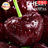 Jingdida Chile imported cherries 2 pounds JJJ grade extra large fruit single fruit 30mm + air freight fresh fruit direct from the source
