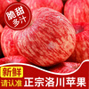 Baoxiansheng Authentic Shaanxi Luochuan Apple Red Fuji Crisp, Sweet and Juicy Seasonal Fresh Fruit for Pregnant Women Whole Box of Fresh Ugly Apples 85-90mm with box 10 jins (net weight 8.8 jins)