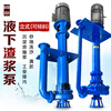 Submersible slurry pump YZ vertical slurry pump SP sewage discharge alloy corrosion-resistant extended single and double tube 100RV submersible pump 50YZ25-15-4KW