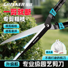 Green forest garden scissors, gardening scissors, hedge scissors, household fruit tree greening, hedge pruning scissors, pruning branches with gloves