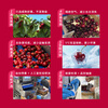 Goodnon Chilean Cherries Super Big Mac 4J5 catties gift box, fruit diameter about 32-34mm, straight from the source