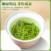 Zhiding Green Tea Special Grade Maojian Tea 2025 New Tea Xinyang Origin Mingqian Young Bud Ration Tea Self-Drink 500g
