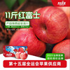 Qingyi Shaanxi specialty Luochuan Red Fuji seasonal apple fresh fruit gift box free shipping direct from the source 11 catties large fruit 210g+