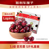 Jingxiansheng Chilean Lapins cherries 3J grade 5 catties gift box with fruit diameter about 30-32mm fruit New Year gift box