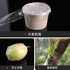 Grafting film special film PE no knotting film self-adhesive garden fruit tree grafting tape wrapping tape wrapping film Grafting film length 200 meters wide 3 cm (1 roll)