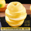 Authentic Shandong Yantai Creamy Fuji Apple Crisp, Sweet and Juicy 4.5-5kg 60-90mm