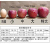 Rising Gold Xinjiang Rock Candy Heart Apple, Crisp and Sweet Alpine Red Fuji, Ugly Apple, Seasonal Fruit Whole Box B, Box 9 Jin, Net Weight 8 Jin, Single Fruit 70-80mm