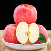 Authentic Yantai Apple Qixia Red Fuji crispy sweet fresh fruit whole box fresh apple fruit net weight 4.5 catties 80mm