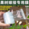 Grafting film special film PE no knotting film self-adhesive garden fruit tree grafting tape wrapping tape wrapping film Grafting film length 200 meters wide 3 cm (1 roll)