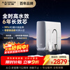Smith (A.O.SMITH) Garnet Blue Whale Water Purifier Household Water Purifier Kitchen Special Undercounter Direct Drinking Machine All-in-One Kitchen 1000G CR2500AE1