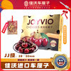JOYVIO imported cherries from Chile 2J grade 2.5kg gift box, fruit diameter about 28-30mm, shipped directly from the source, free shipping