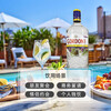 Gordon s wine gin 1000ml 43% gin and tonic cocktail base wine