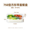 Temeiju disposable lunch box square 750 type * 10 sets for food fast food packed picnic box with lid bowl microwaveable