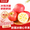 Hengxun Xinjiang Rock Candy Heart Apple Fruit Red Fuji Ugly Apple Fresh Seasonal Fruit Gift Box Selected 5kg Pack Net 4.5kg