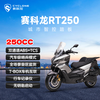 Secoron RT250 Urban Intelligent Control Sports Scooter Yaoye Black Sports Edition
