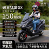 Breaking new 2025 new breaking Raptor GX150 two-wheeled large pedal fuel motorcycle National IV EFI national license plate matte gray Raptor GX150 high-end version 12V