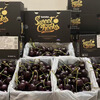 Cabuno Australian Cherry MINI Small Black Box Imported Fresh Fruit Murane Royal Dawn Big Cherry New Year Gift Box 3.8 catties (net weight) 2J (28-30mm)